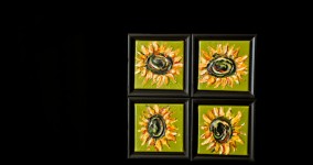 Sunflower Series