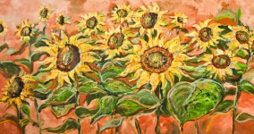 Sunflower Series