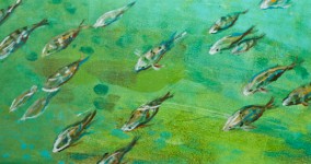 Brazil Series:Fish In the Sea